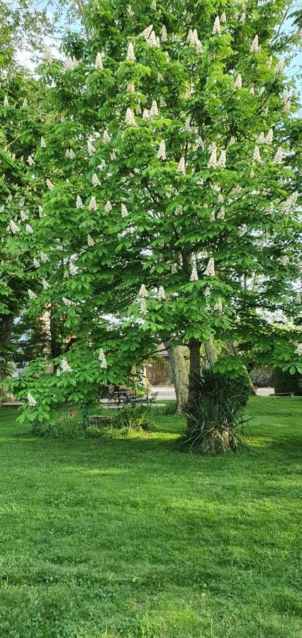 B&B Le Domaine Des Marcoujans Saint-Elix-le-Chateau Eksteriør bilde